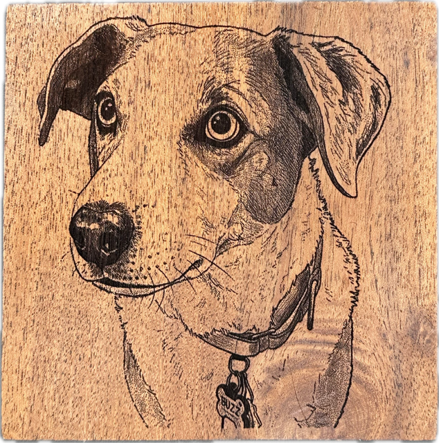 Custom engraved wooden coasters